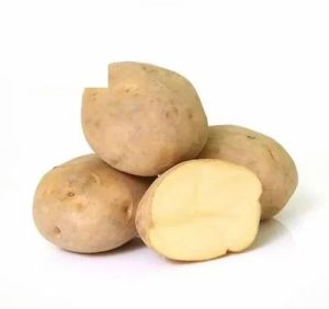 A Grade Fresh White Potato