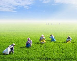 Agricultural Land Deal Services