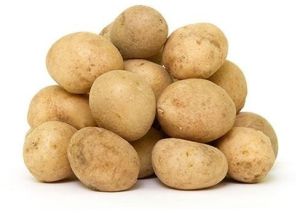 Fresh Baby Potato