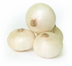 Fresh White Onion