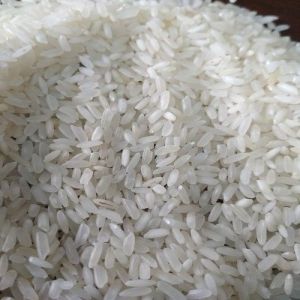 Swarna Rice
