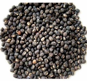 Whole Urad Dal