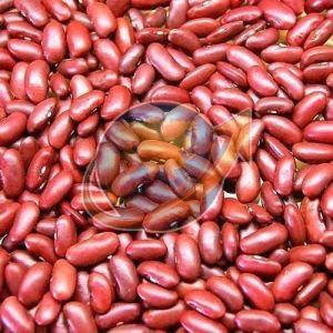 Red Kidney Beans