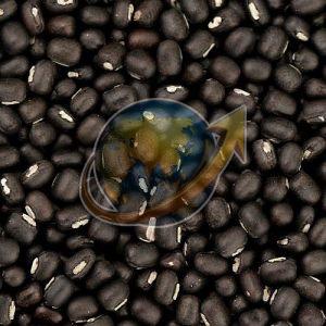 Whole Black Urad Dal