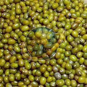Whole Green Moong Dal