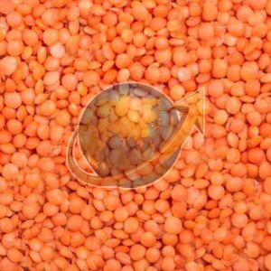 Whole Red Masoor Dal