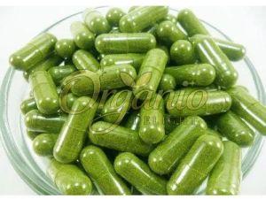 Moringa Capsules