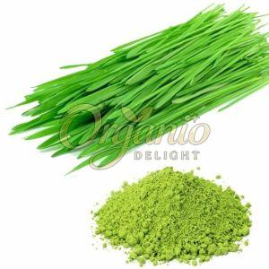Natural Wheat Grass Powder