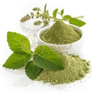 Organic Tulsi Herbal Powder
