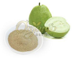 Pure Natural Guava Powder