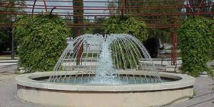 Fountain Spray Ring