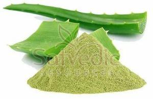 Aloe Vera Extract Powder