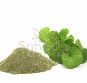 Brahmi Extract Powder