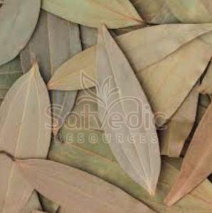 Dried Bay Leaf