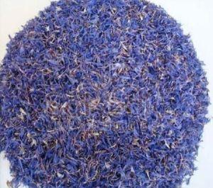 Dried Blue Cornflower