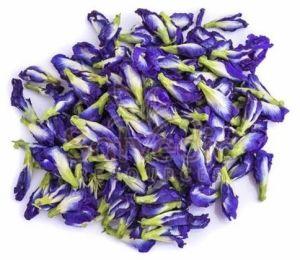 Dried Blue Pea Flowers