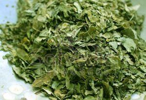 Dried Coriander Leaves