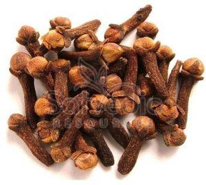 Dry Brown Whole Clove Buds