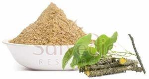 Giloy Stem Extract Powder