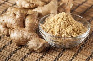 Ginger Root Extract Powder