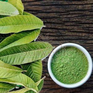 Guava Leaf Powder