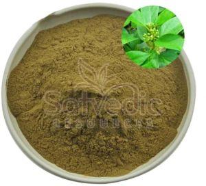 Gymnema Sylvestre Powder