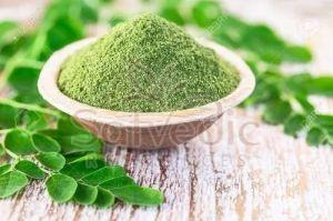 Moringa Leaf Extract Powder