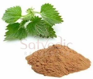Nettle Root Extract Powder