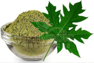 Papaya Leaf Extract Powder