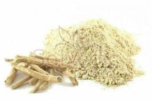 Shatavari Root Powder