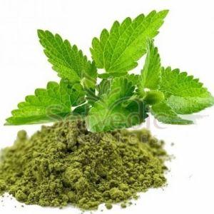 Tulsi Leaf Extract Powder