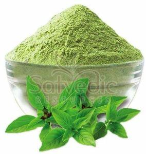 Tulsi Leaf Powder