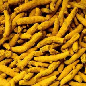 Turmeric Finger