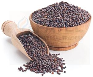 Black Mustard Seed