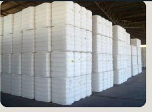 Bleached Cotton