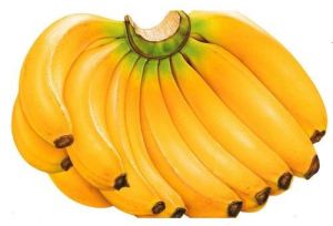 Natural Fresh Yellow Banana