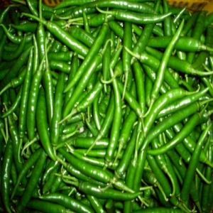 Spicy Fresh Green Chilli