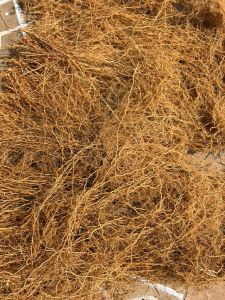 Brown Vetiver Roots