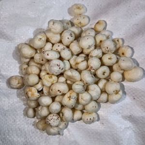 Raw Handpicked Phool Makhana