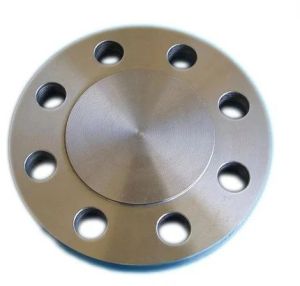 Hastelloy Alloy Steel Flange