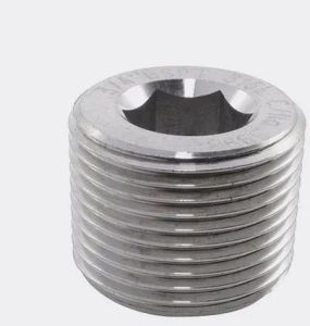 Stainless Steel Socket Head Pipe Plug