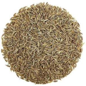 A Grade Organic Cumin Seed