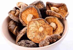 Dehydrated Brown Mushroom