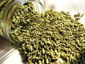 Organic Fennel Seed