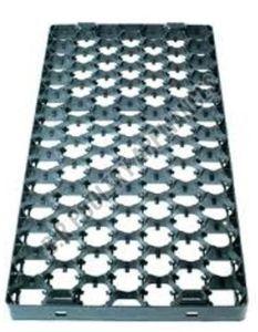 Setter Tray for Egg Incubator
