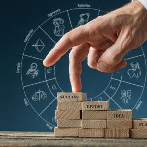 Career and Business Astrology Service