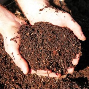 Bio Enriched Cow Dung Manure