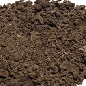 Organic Cow Dung Manure