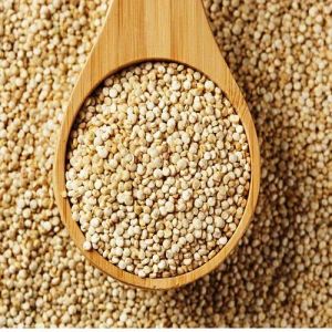 Quinoa Seeds