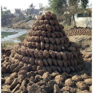 Organic Cow Dung Cake